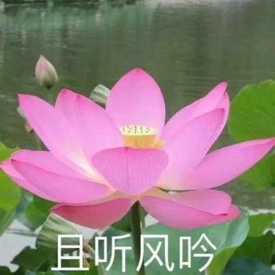腾讯乐高无限游戏下载